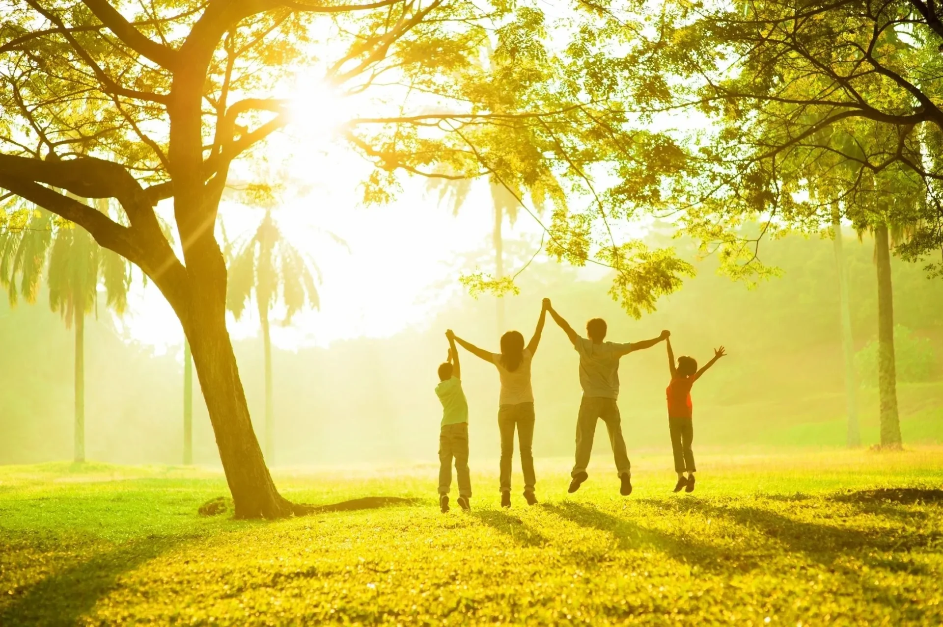 A group of people standing under a tree with their arms in the air.